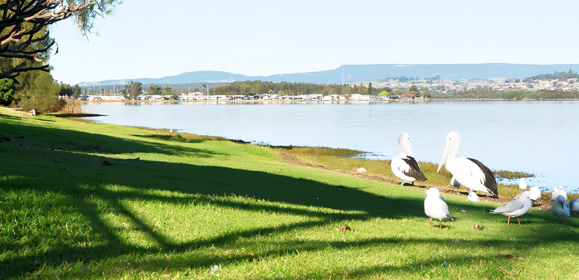 Golf Place Inn Wollongong Primbee Екстер'єр фото